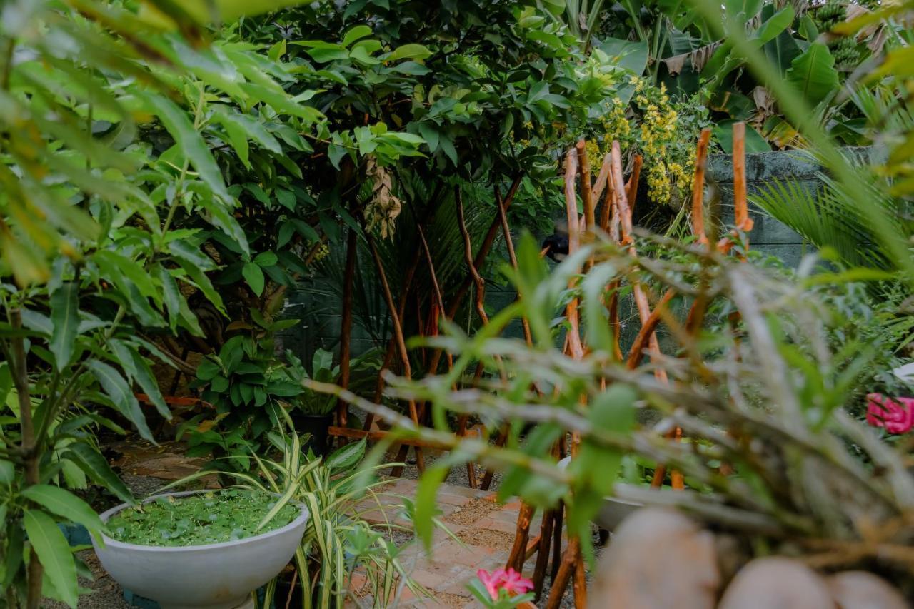 Ruwan Jungle Homestay Mirissa Exterior foto