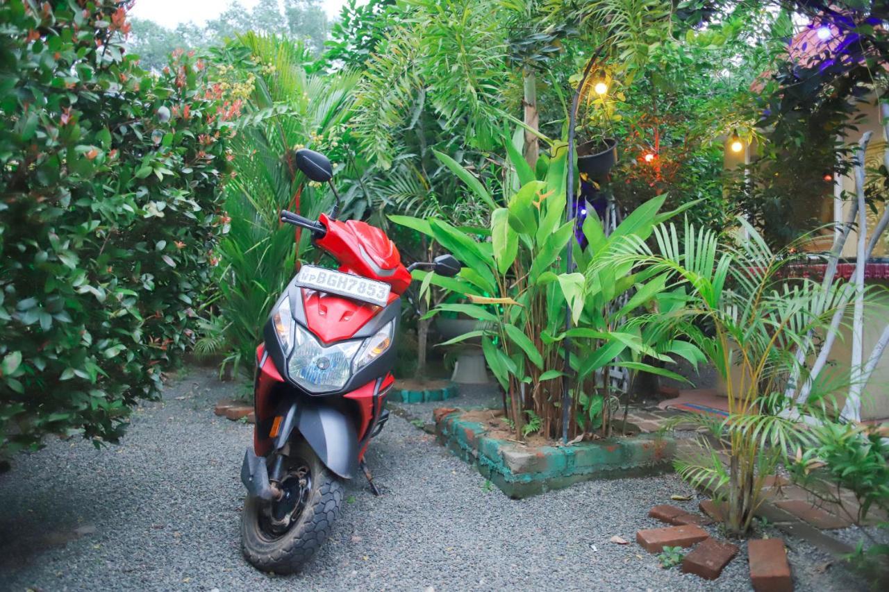 Ruwan Jungle Homestay Mirissa Exterior foto