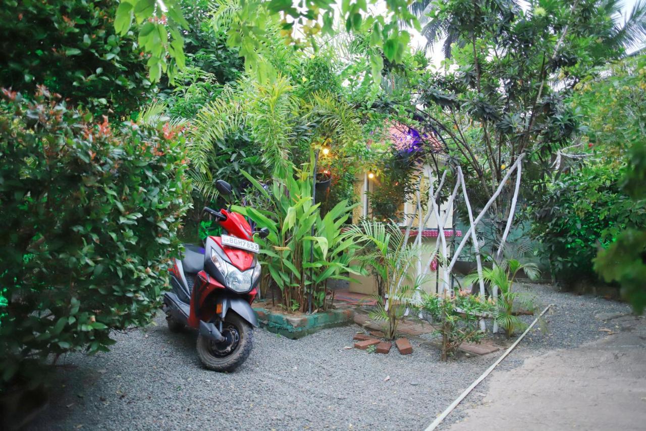 Ruwan Jungle Homestay Mirissa Exterior foto