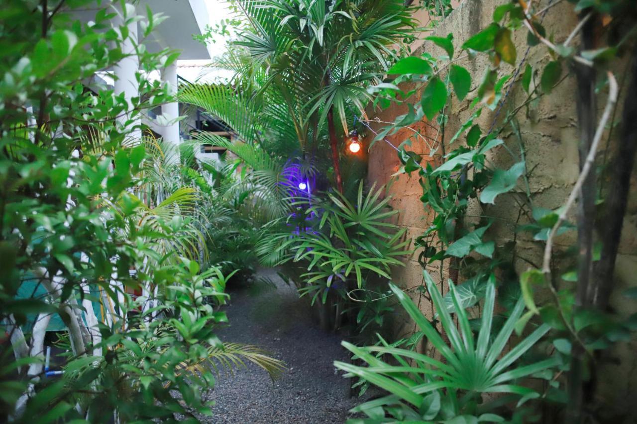 Ruwan Jungle Homestay Mirissa Exterior foto