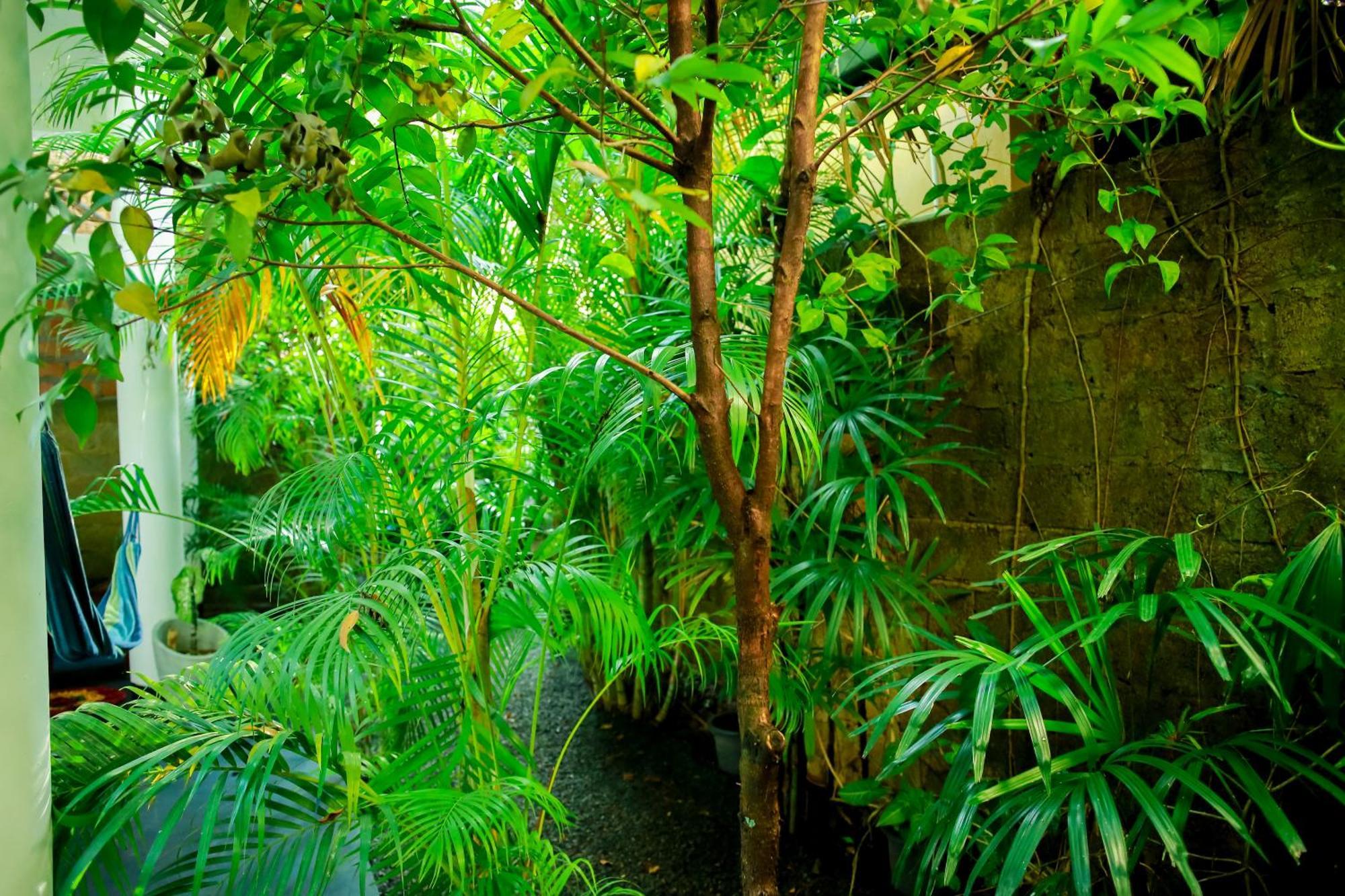 Ruwan Jungle Homestay Mirissa Exterior foto