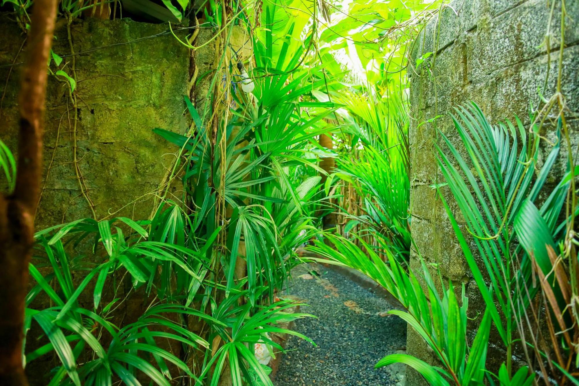 Ruwan Jungle Homestay Mirissa Exterior foto