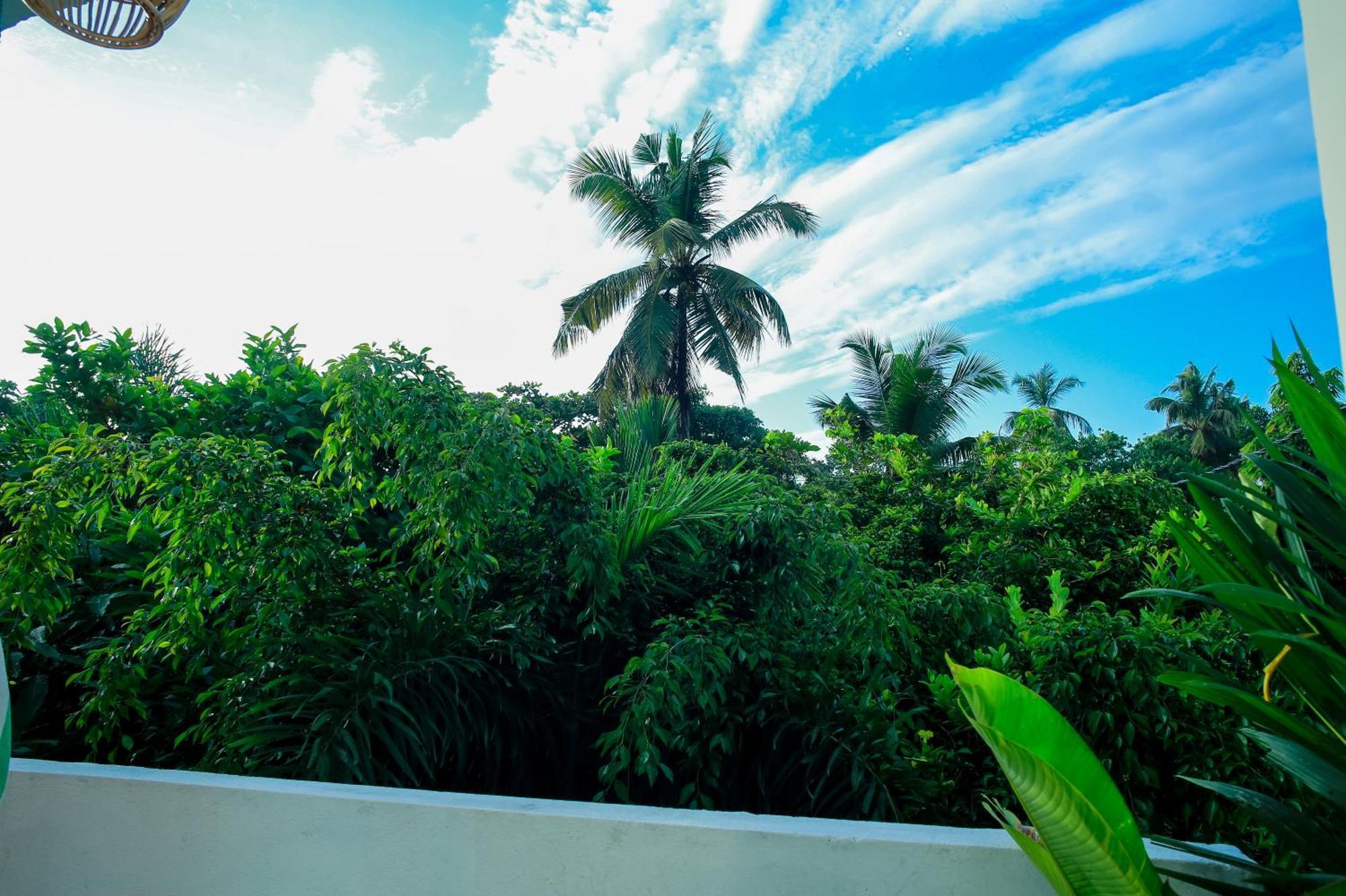 Ruwan Jungle Homestay Mirissa Exterior foto
