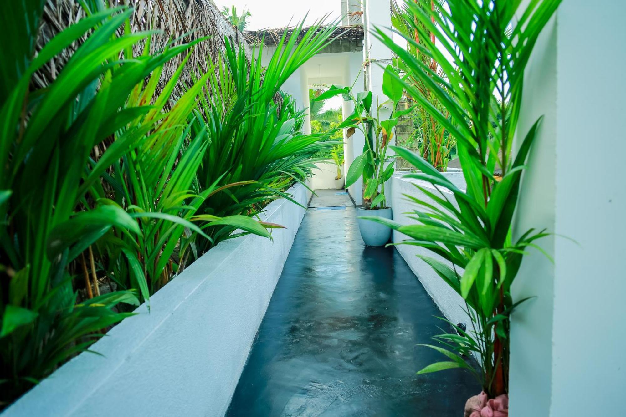 Ruwan Jungle Homestay Mirissa Exterior foto
