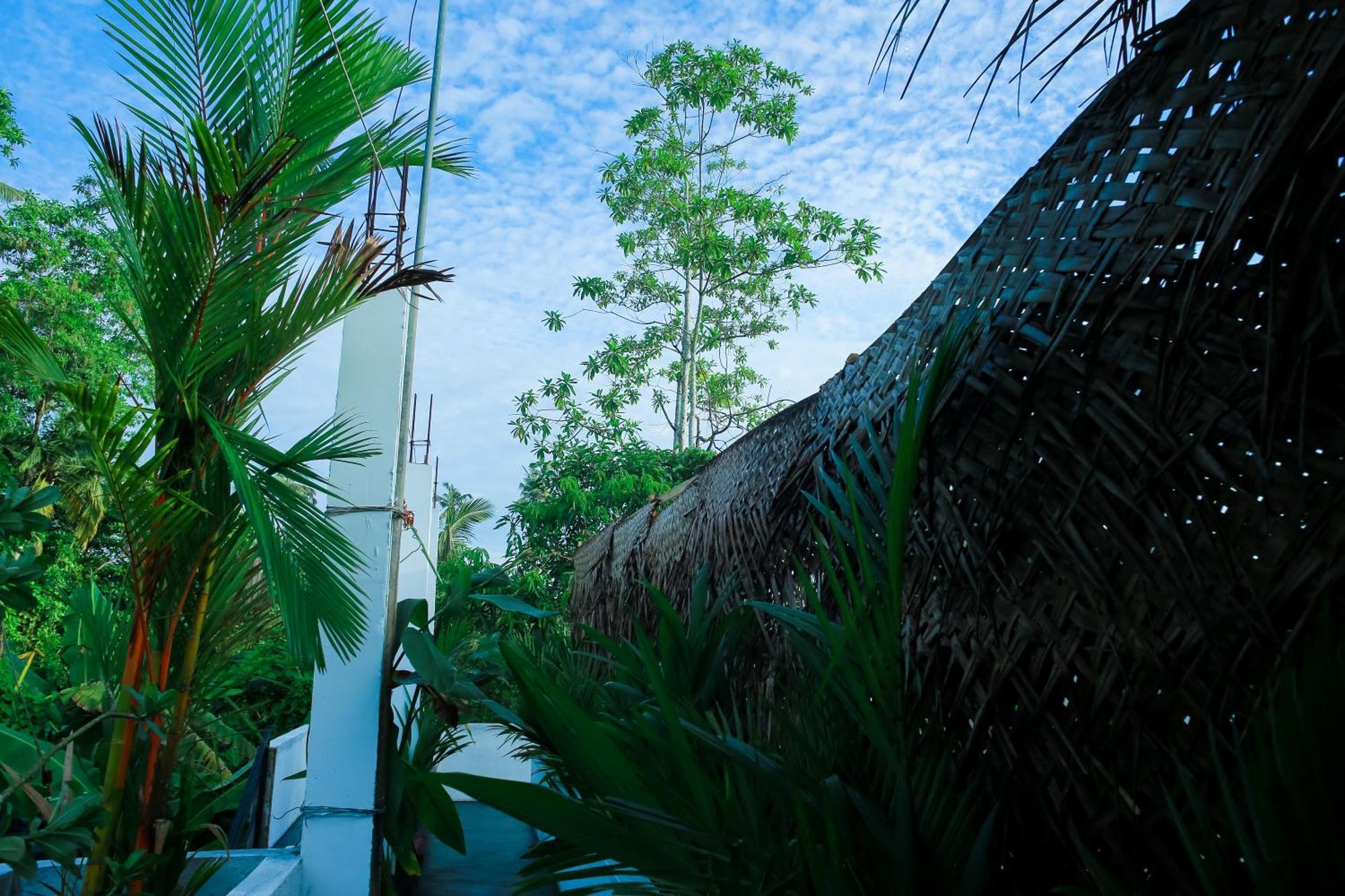 Ruwan Jungle Homestay Mirissa Exterior foto